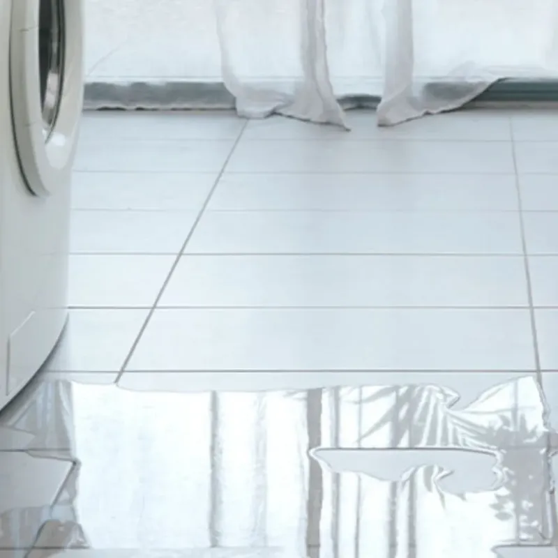 Appliance Leak Cleanup in Batavia, IL