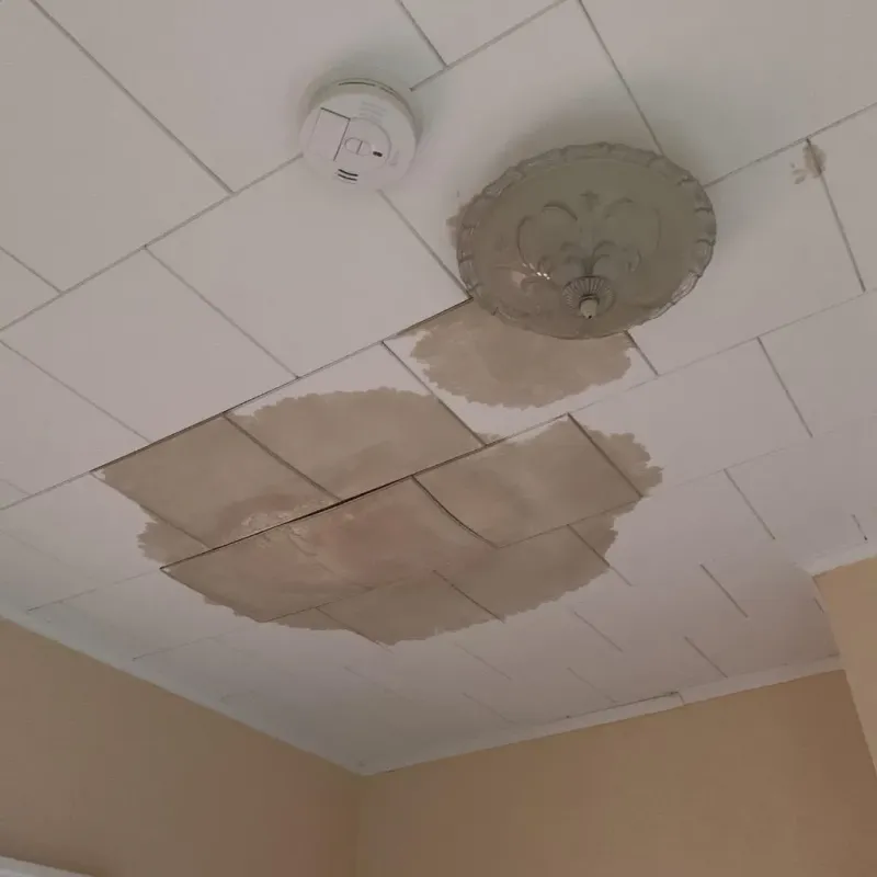 Ceiling Water Damage Repair in Batavia, IL