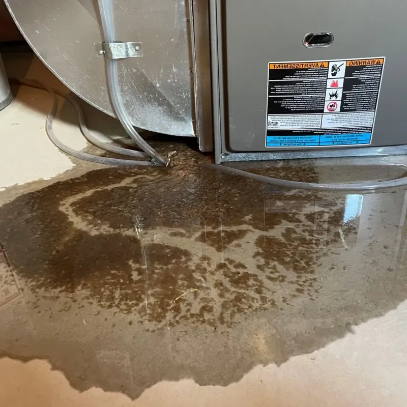 Pipe Burst and Leak Restoration in Batavia, IL